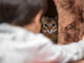 电影破·地狱中，郭志斌异国寻父之旅