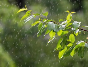 江西广昌明日天气预报与影响解析